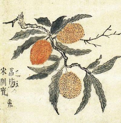 Flower symbolism